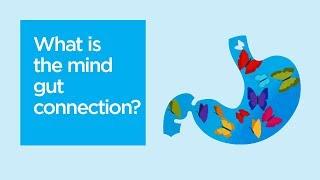 What is the mind-gut connection?