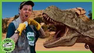 Earthquake and a T-Rex Dinosaur Battle  | T-Rex Ranch Dinosaur Videos
