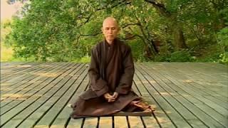 Thich Nhat Hanh on the Buddha 2004 EngStFr