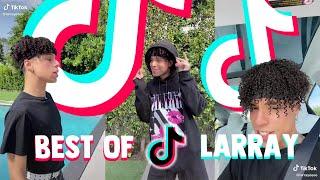 Best of Larray TikTok Compilation (Larrayeeee)