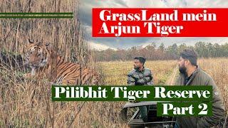 Grassland Mein Arjun Tiger | Pilibhit Tiger Reserve Part 2 | Junglee Hactor