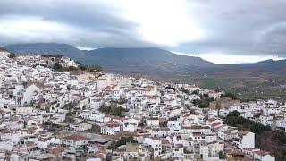 MÁLAGA SALEROSA (ÁLORA)