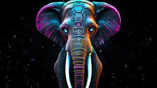 Melodic Techno & Progressive House Olaroch Elefant