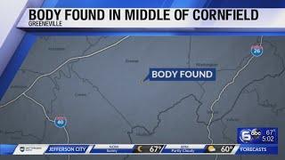 Body found in middle of cornfield in Greeneville, TN