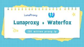 How to configure proxy with waterfox browser？|web proxy|residential proxy|proxy tutorial