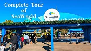 Exploring SeaWorld San Diego: Full Day of Fun and Marine Magic!