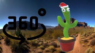 360 CACTUS BEATBOX FINDING CHALLANGE