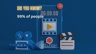 PixelFish | Video Marketing