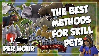 Best Methods for Skilling Pets in OSRS - Easiest Pets To Get (AFK + Active)