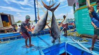 Ohh Final Day! On The Last Day We Caught Fish And Returned To The Fishing Port | Day-13 | S04-EP14