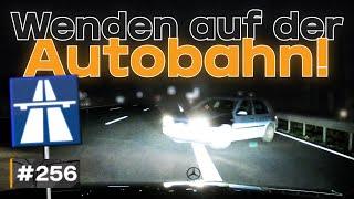 Geisterfahrer, Brakechecks und lebensmüde Radler | #GERMAN #DASHCAM | #256