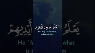 Pashton official search tilawat Quran #foryou #islamicvideo #islamicanc #telawat_quran786