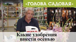 Голова садовая - Какие удобрения внести осенью