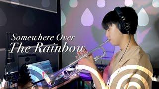 트럼펫 연주 - somewhere over the rainbow | 비 오는 날 음악