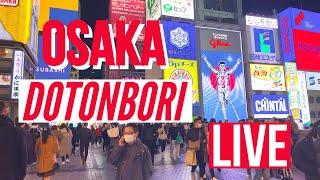 Osaka Dotonbori Walk, Osaka, Japan