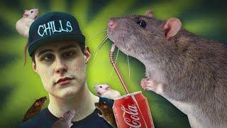 CHILLS FINDS A BIG RAT!!!!