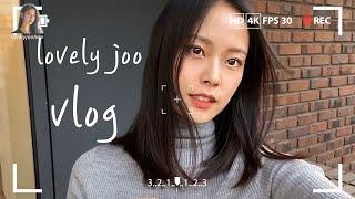 [VLOG] lovelyjoohee 일상 그리고 / 반려견, 가족, 운동, 카페, 첫 브이로그, 유튜브 시작, 인스타그램  러블리주희