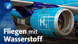 Wasserstoff-Flugzeuge: Projektarbeit bei Airbus