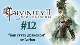 Divinity 2: Ego Draconis - Прохождение #12