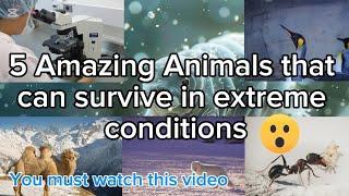 5 Amazing Animals That Can Survive Extreme Conditions |Knowledge Book|