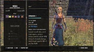 ESO: My Khajiit Templar Magicka PVE DPS build, Mother's Sorrow, Burning Spellweave, PS4