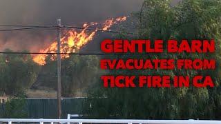 The Gentle Barn Fire Emergency