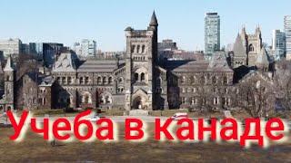 Учёба в Канаде, как получить образование в Канаде бесплатно