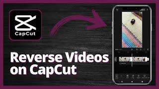 How to Reverse Videos on CapCut in 2023 | Reverse Video in CapCut Easily