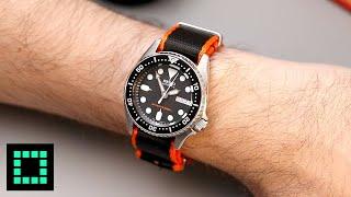 5 Popular Dive Watches on My 6-inch Wrist