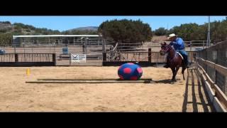 Gimli's first time with the broomstick and ball