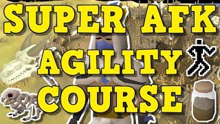 NEW Super AFK Agility Course | Colossal Wyrm Agility Course Guide (OSRS)