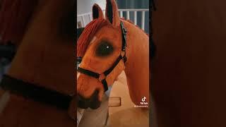 DIY Leather Halter | Hobby Horse Tutorial | TikTok