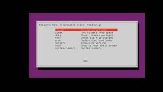 Reset forgotten Password on Ubuntu 20.04 in 2 Minutes