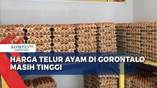 Harga Telur Ayam di Kota Gorontalo Masih Tinggi