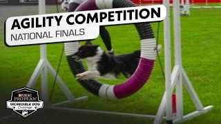 Incredible Dog Challenge: Small Dog Agility Competition National Finals | NBC Sports