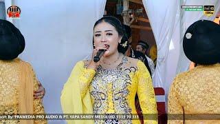 TRESNO LARANGAN - LELAMUNAN || VOC. WILIS KRISTINA - PT. YAPA SANDY MEDIA KONDANGNYA TAYUB INDONESIA