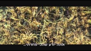 "הבלתי אפשרי" טריילר - החל מה-20.12 בקולנוע