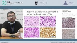 Обновления в классификации ВОЗ опухолей мягких тканей и костей 2020 (Гоголев А.Б.)