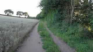 Summer Evening Walk in the Countryside #walking #countrysidewalks