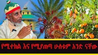 live የሚተክል እና የሚያጠጣ ሁለቱም አንድ ናቸው