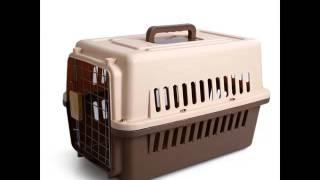Dog Cage Plastic Set Of Useful Picture Ideas | Dog Cage Plastic Dogs