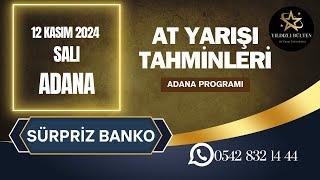 12 Kasım 2024 Salı Adana At Yarışı Tahminleri