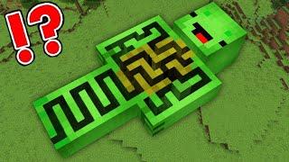 What Inside This Mikey Maze? JJ Saved Mikey in Minecraft Challenge - Maizen