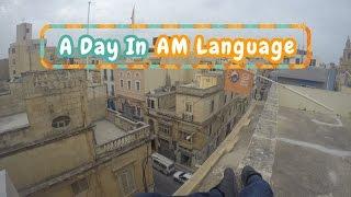 A Day In AM Language Studio Malta | BergsClue