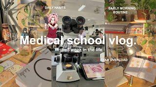 MEDICAL SCHOOL STUDY VLOG: EXAM SEASON, ATTENDING LECTURES, GETTING PRODUCTIVE, STUDY WITH ME