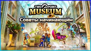 Создай Музей Мечты: Гайд для Начинающих в Two Point Museum