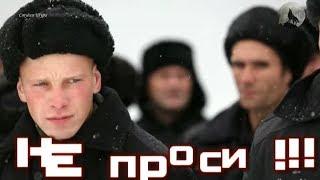 Андрей Шишкин - Строгий Режим (Студия Шура) клипы шансон лучшие