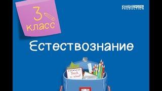 Естествознание. 3 класс. Как мы дышим /23.11.2020/