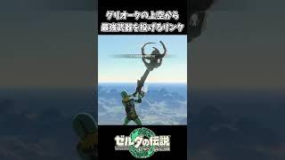 グリオークの上空から最強武器を投げるリンク【ゼルダの伝説 ティアーズ オブ ザ キングダム】