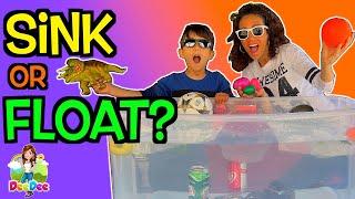 Sink or Float | Science Experiments for Kids